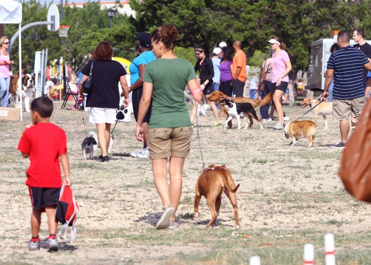 Puppypalooza